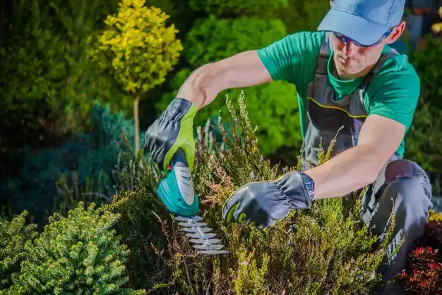 landscaping services Belzoni